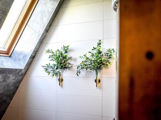 Atlas Chmur Apartament ビャウィ・ドゥナイェツ エクステリア 写真